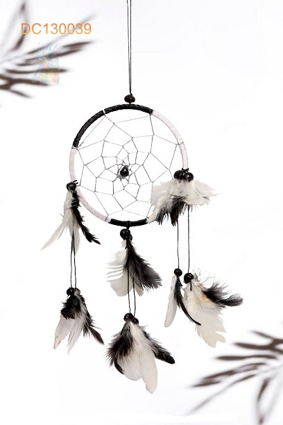 Dreamcatcher #130039